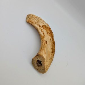 Lamb Horn Marrow (Medium)