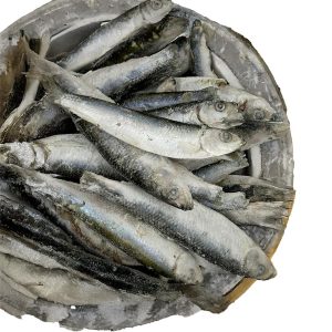 Frozen Sprats